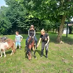 Poni Kucko Vendeghaz Es Minifarm Hosszuvoelgy