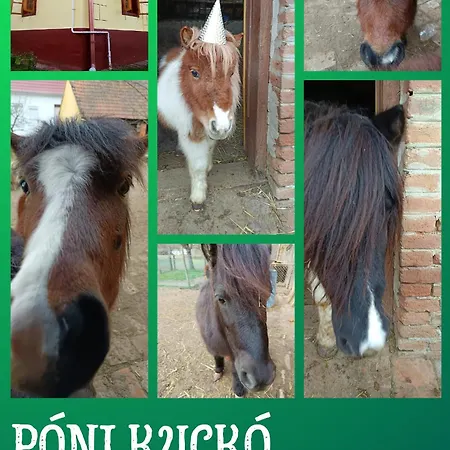 Poni Kucko Vendeghaz Es Minifarm Holiday home