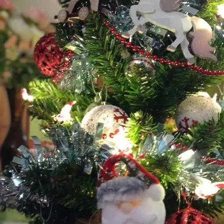 Pony And Minifarm Casa vacanze Hosszuvoelgy