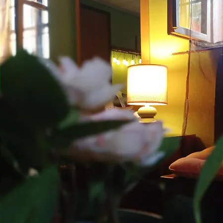 Pony And Minifarm Ferienhaus