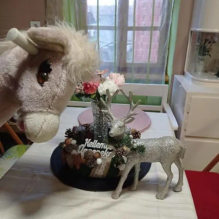 Pony And Minifarm Hosszuvoelgy