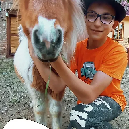 Poni Kucko Vendeghaz Es Minifarm * Hosszuvoelgy