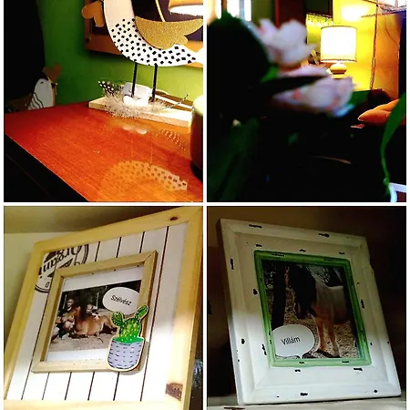 بيت للعطل Pony And Minifarm