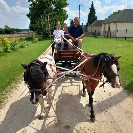 Pony And Minifarm Ferienhaus Hosszuvoelgy