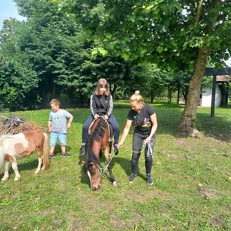 Pony And Minifarm Hosszuvoelgy