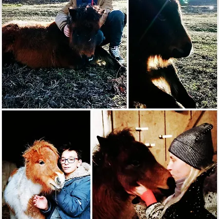 度假居 Poni Kucko Vendeghaz Es Minifarm Hosszuvoelgy