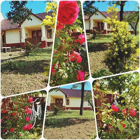 Poni Kucko Vendeghaz Es Minifarm