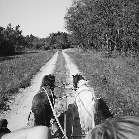 Poni Kucko Vendeghaz Es Minifarm *