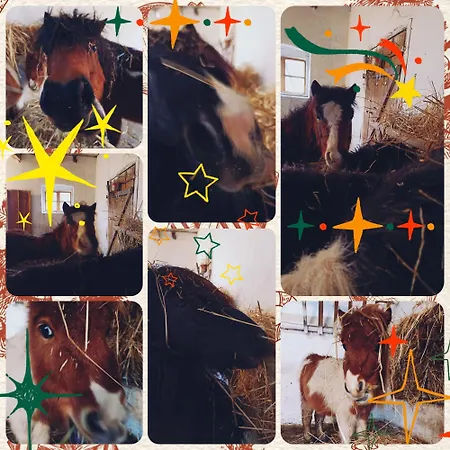 Σπίτι διακοπών Poni Kucko Vendeghaz Es Minifarm Hosszuvoelgy
