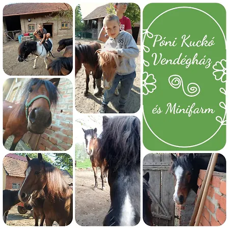 Holiday home Poni Kucko Vendeghaz Es Minifarm