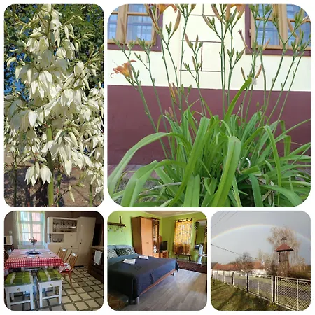 Poni Kucko Vendeghaz Es Minifarm * Hosszuvoelgy