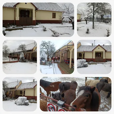 Poni Kucko Vendeghaz Es Minifarm * Hosszuvoelgy
