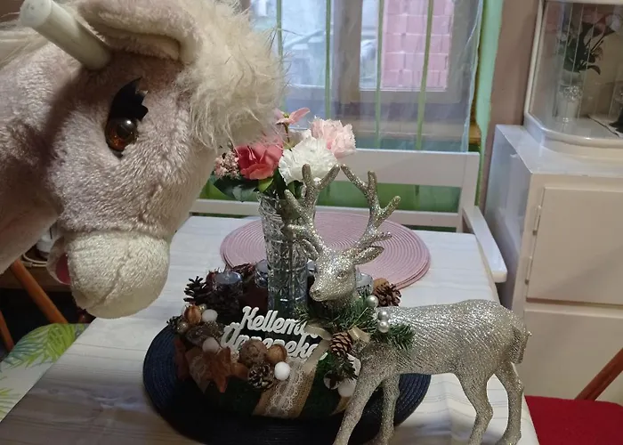 Poni Kucko Vendeghaz Es Minifarm Hosszuvoelgy