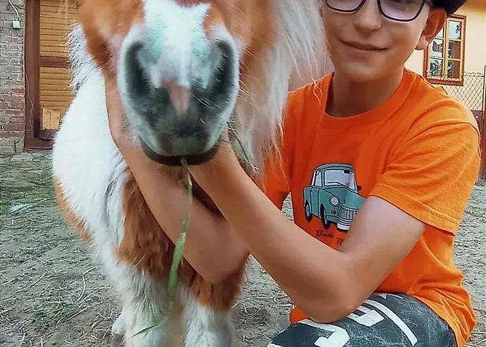 Poni Kucko Vendeghaz Es Minifarm * Hosszuvoelgy
