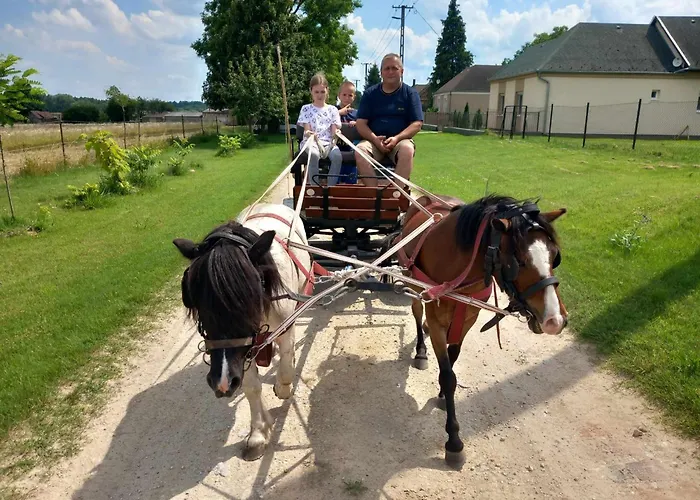 Poni Kucko Vendeghaz Es Minifarm Holiday home Hosszuvoelgy