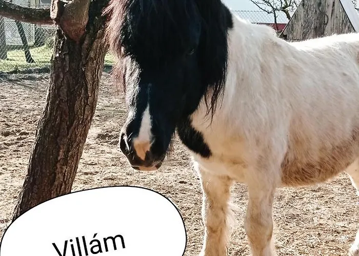Poni Kucko Vendeghaz Es Minifarm *