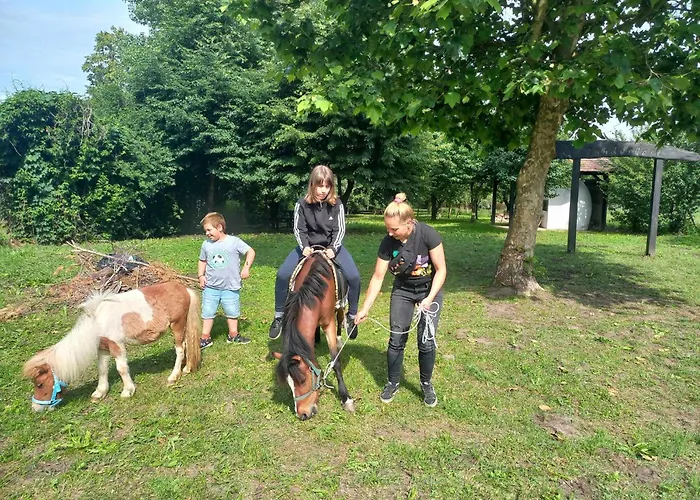 Poni Kucko Vendeghaz Es Minifarm Hosszuvoelgy