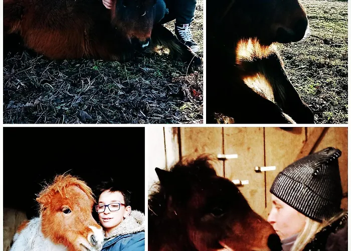 Holiday home Poni Kucko Vendeghaz Es Minifarm Hosszuvoelgy